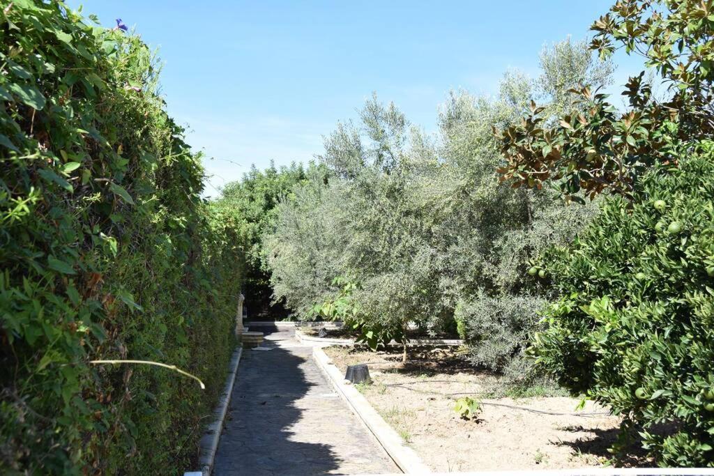 Casa Rural " La Bruja " Segorbe Exterior foto